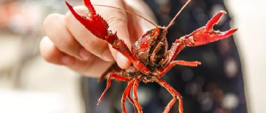 成都七中实验学校食材检测结果出炉;瑞幸否认董事长贷款2亿美元