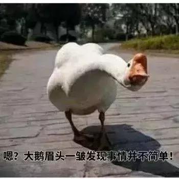 前有娃娃鱼后有冷吃兔,为何中国厨师炫技就是残忍? 前有娃娃鱼后有冷吃兔,为何中国厨师炫技就是残忍?