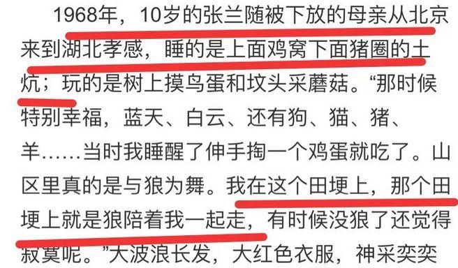 从餐饮界LV沦落到卖盒饭,张兰是如何把一手好牌打烂的?