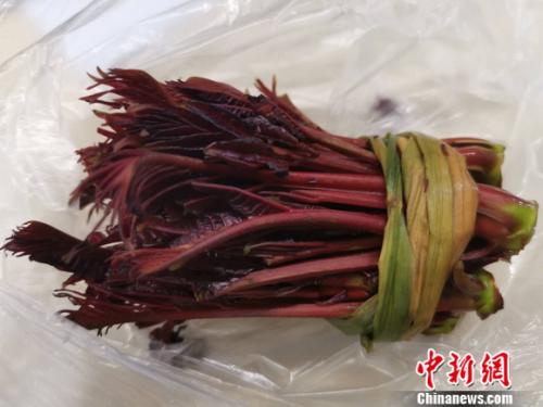 香椿自由取代车厘子自由 最贵的1斤价格超200元