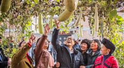 碧桂园杨国强被问何时退休:你看李嘉诚做到多大年龄?